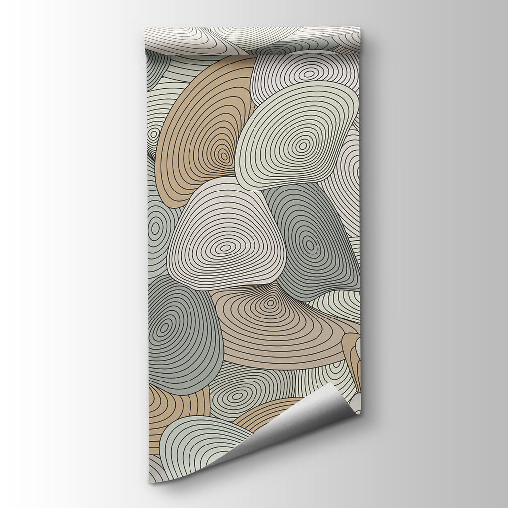 Pattern of spirals and lines