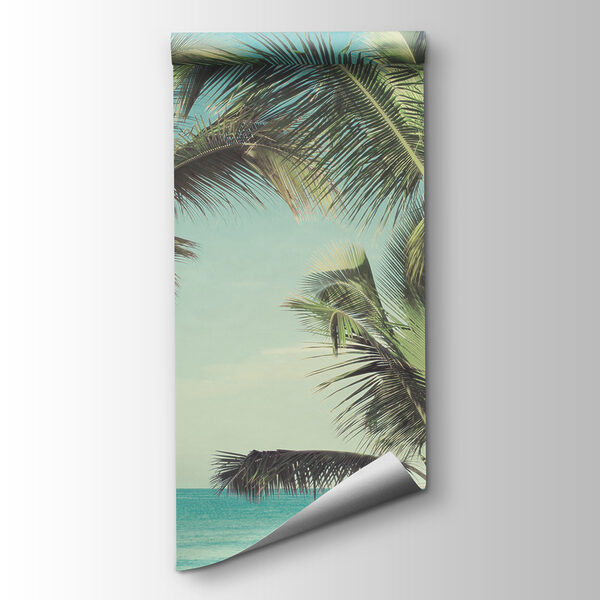 Palm trees on a beach