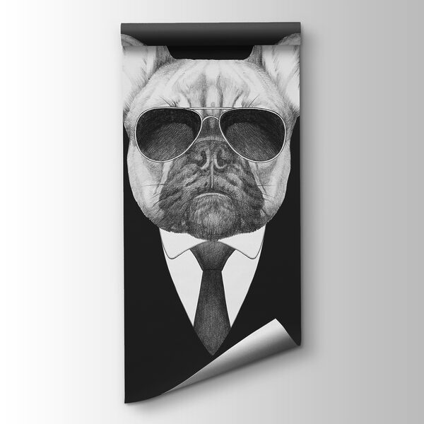 A dog wearing sunglasses and a suit A dog wearing sunglasses and a suit