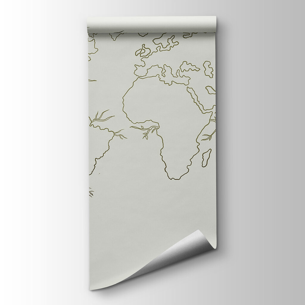 A map of the world