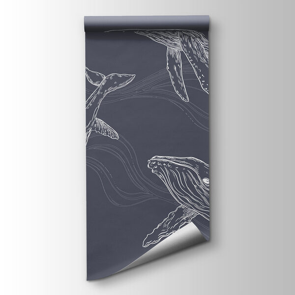 A group of whales swimming