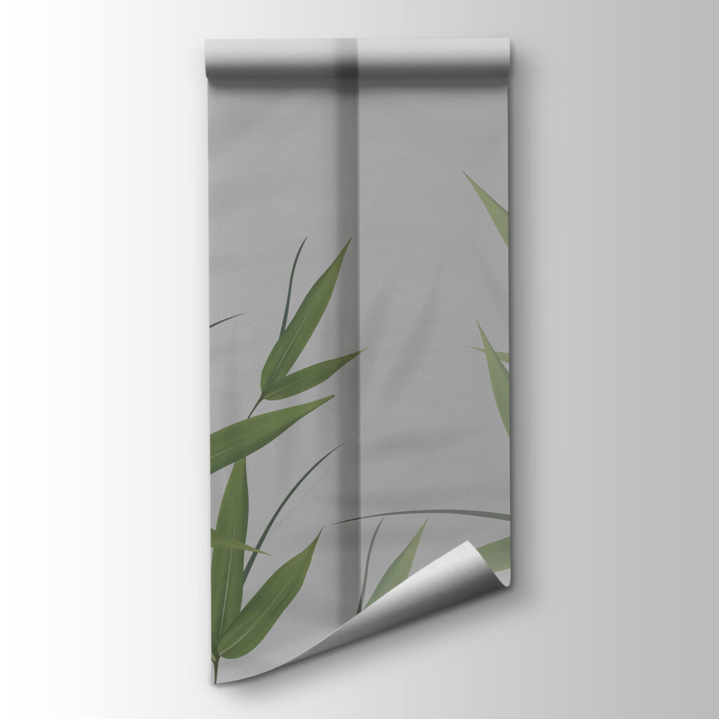 A green leaves on a white surface