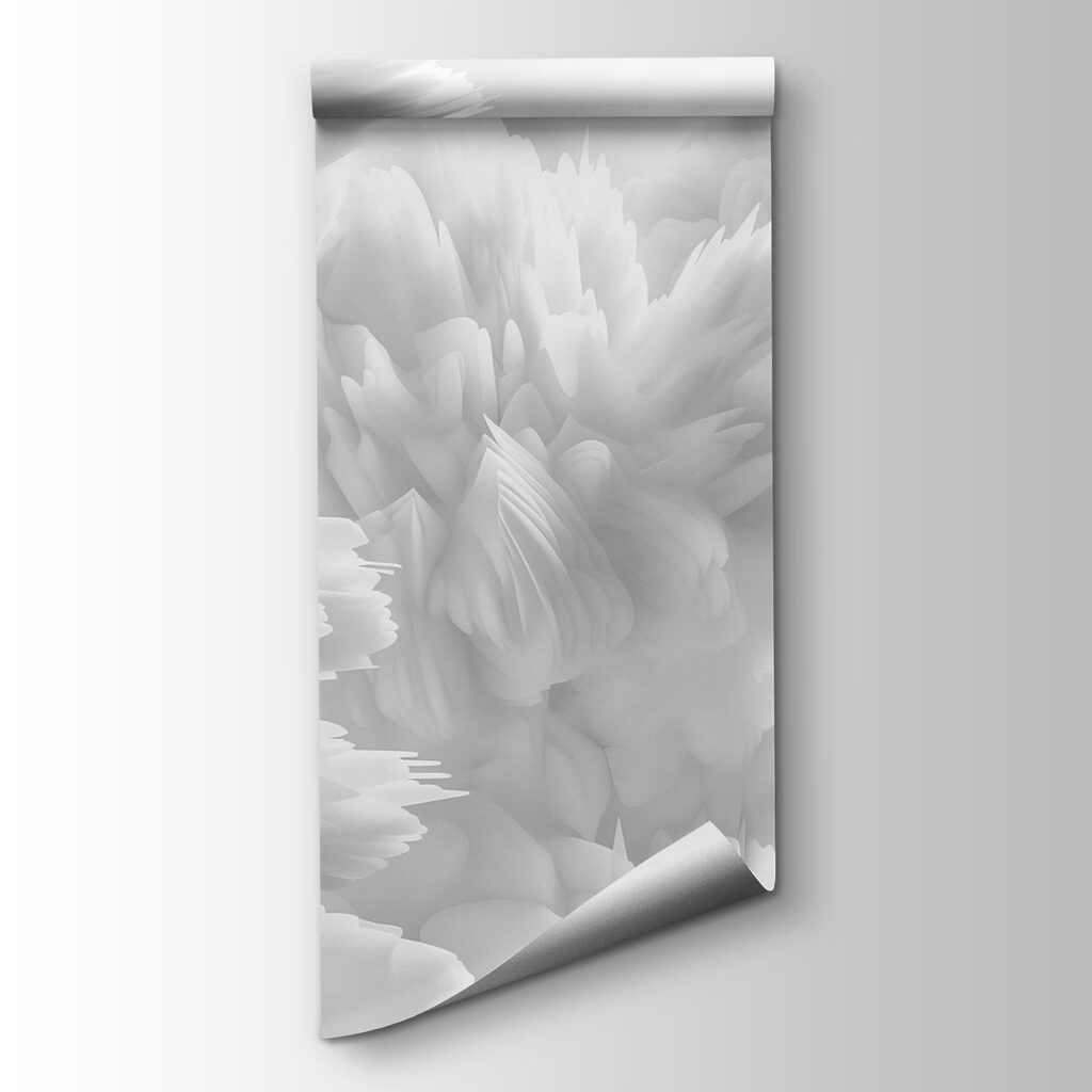 Close up of white fluffy objects