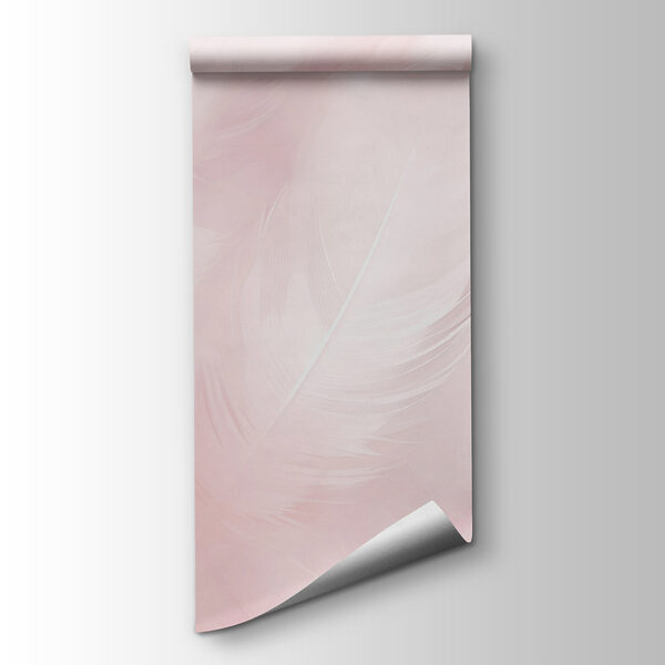 Close up of feathers