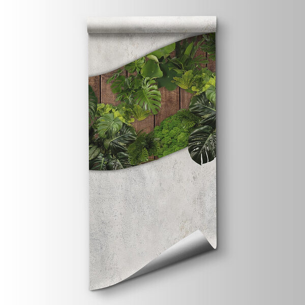 Green leaves on a wooden surface