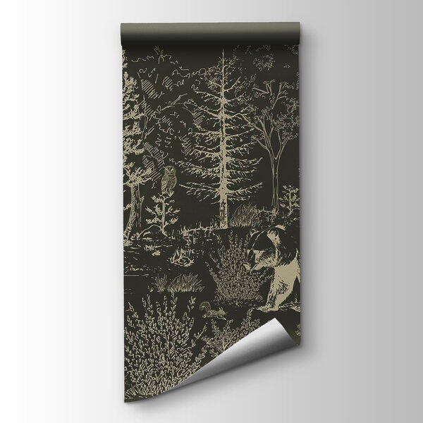 Bear walking in the woods Bear walking in the woods