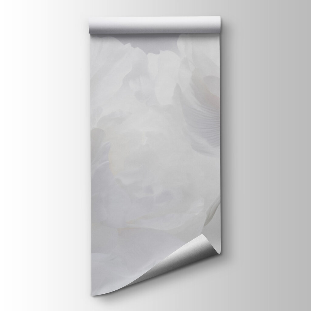 Group of white flowers