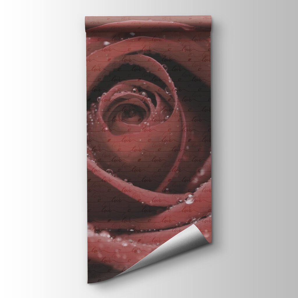 Delicate petals adorned with droplets