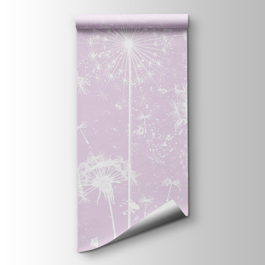 White dandelion flowers