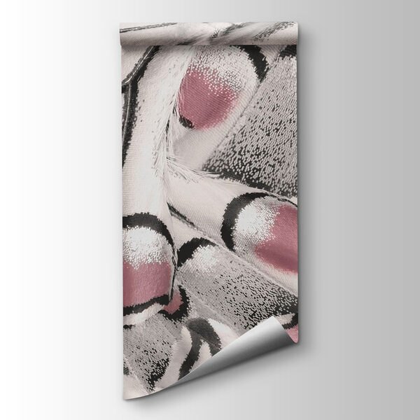 Nature's intricate patterns unfold beautifully