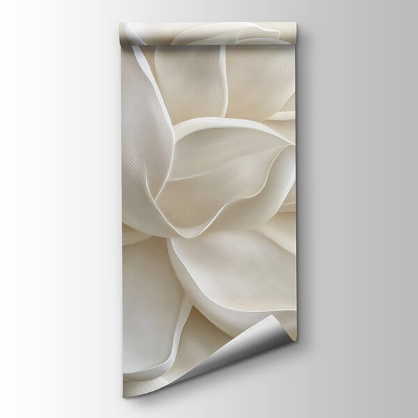 Soft petals in gentle layers