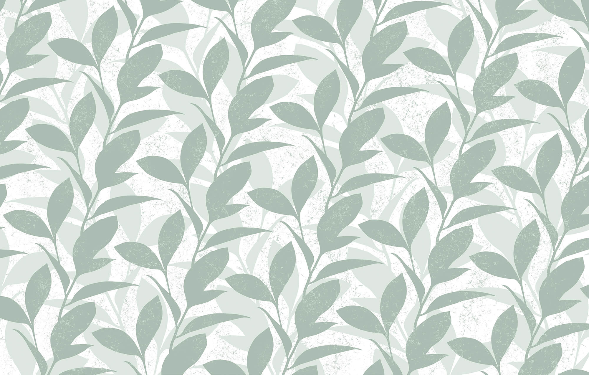 Pattern of leaves on a white background