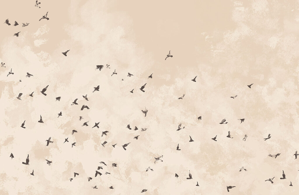 Flock of birds in the sky