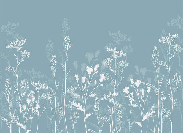 White flowers on a blue background White flowers on a blue background