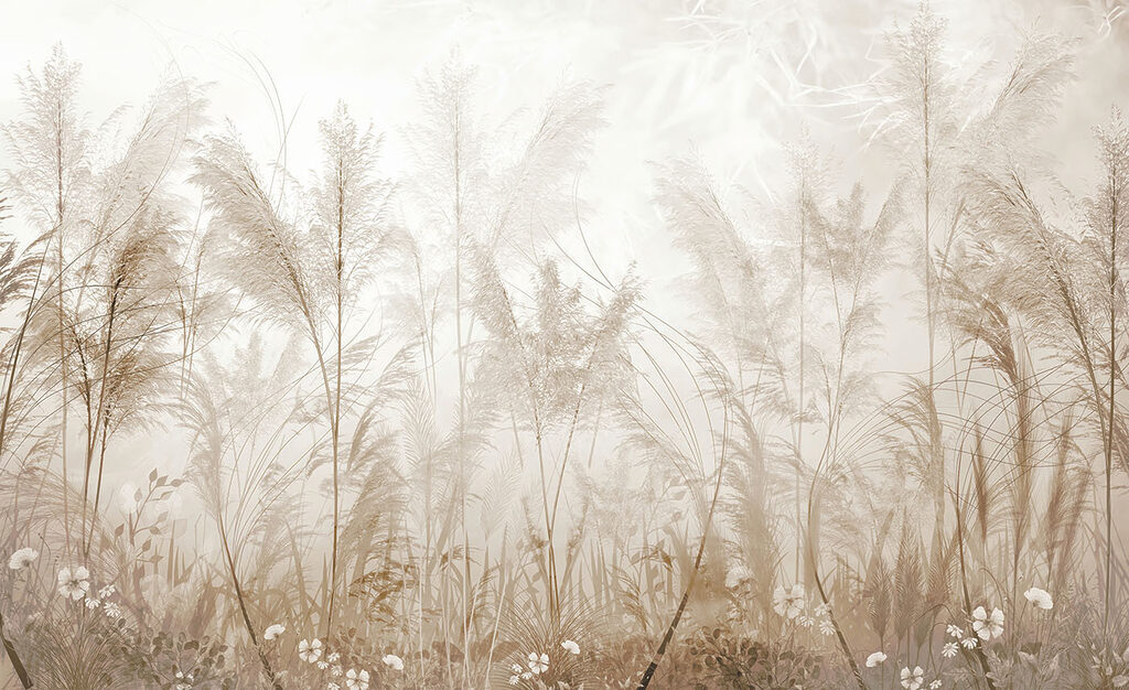 Field of grass with flowers