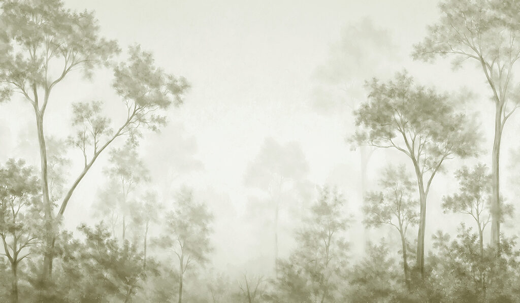 Foggy forest with trees Foggy forest with trees