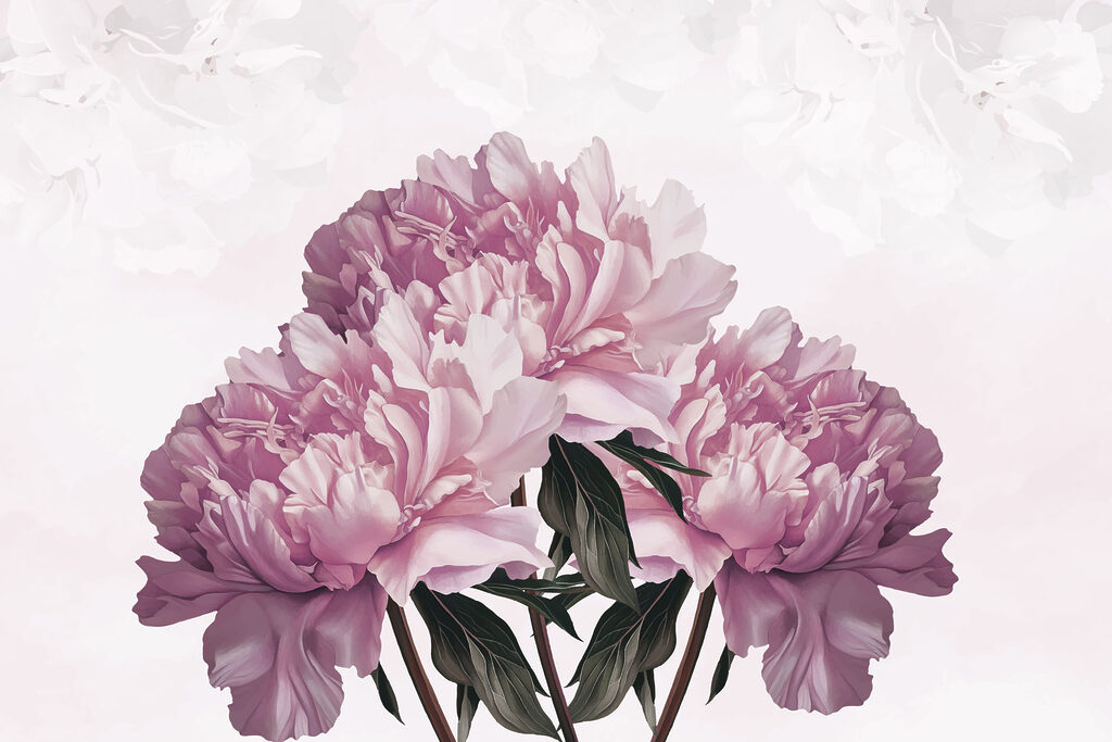 Blooming peonies in soft hues Blooming peonies in soft hues