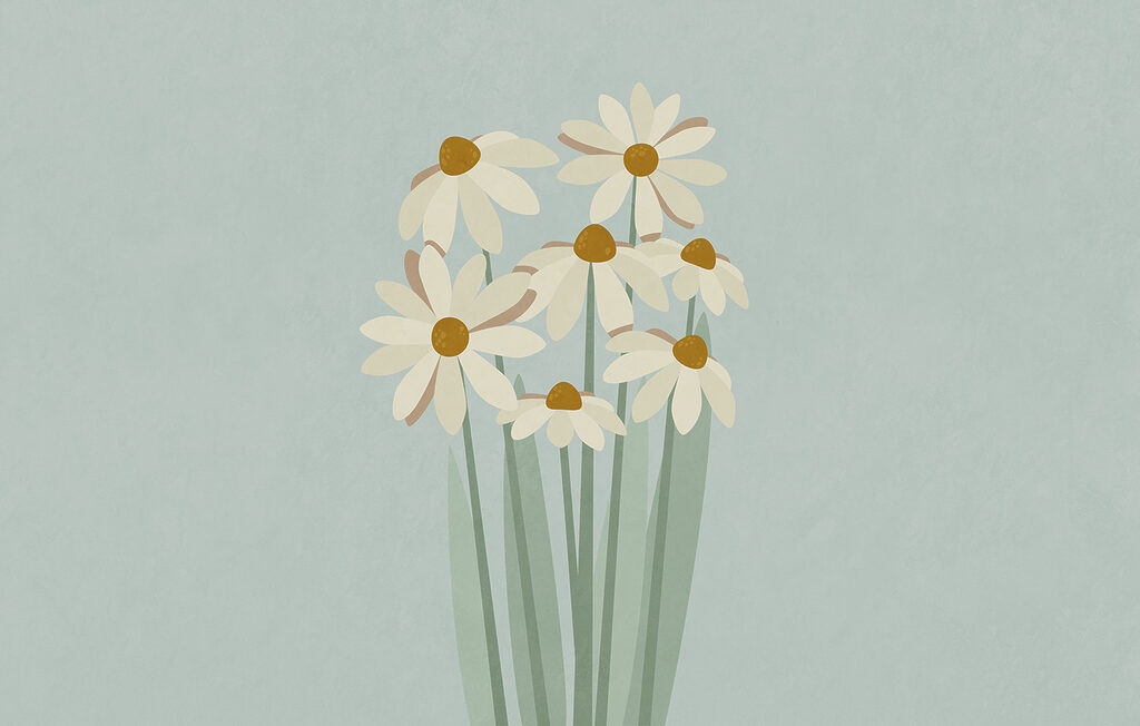 Bunch of white flowers