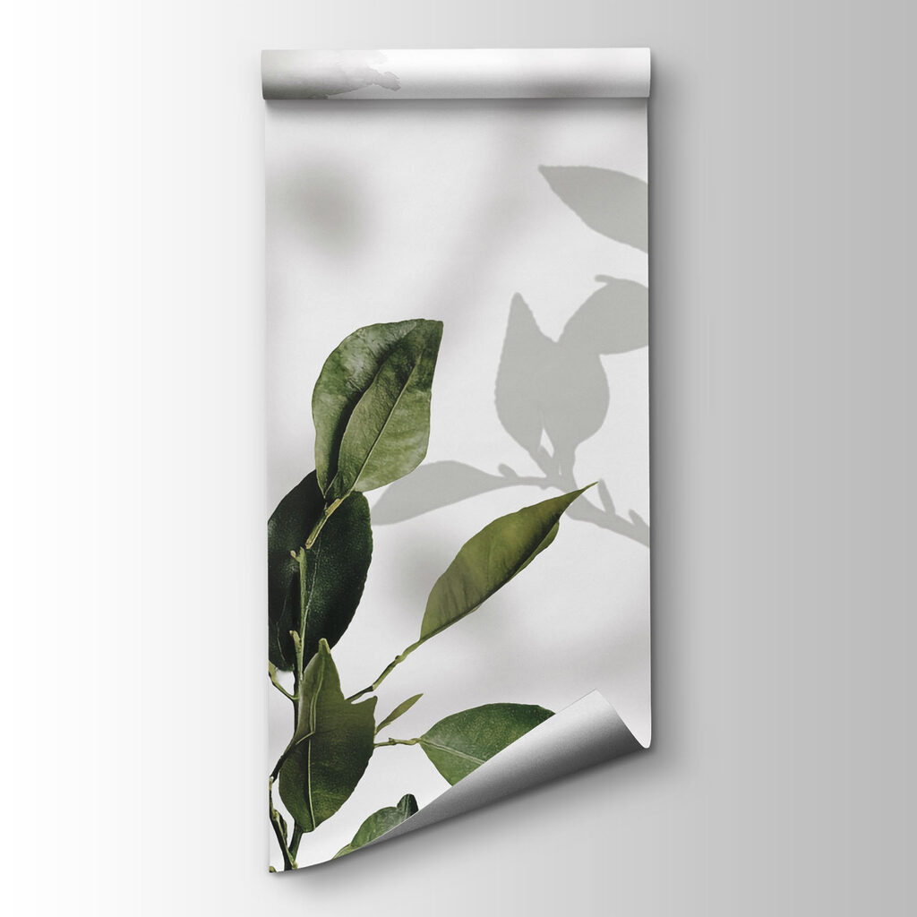 Group of leaves and branches Group of leaves and branches