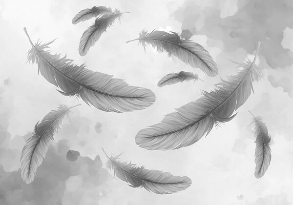 Group of feathers floating in the air