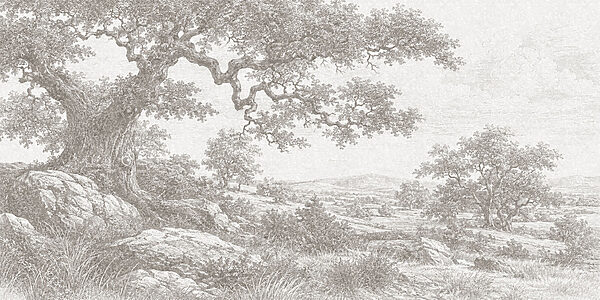 Drawing of a tree and a rocky landscape