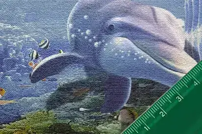 Ομάδα πουλιών με φύλλα