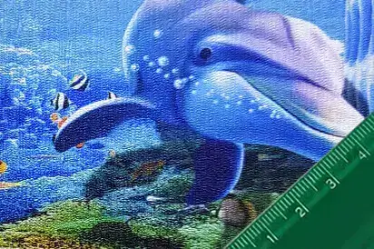 Ομάδα πουλιών με φύλλα