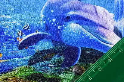 Ομάδα πουλιών με φύλλα